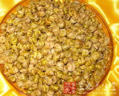 鐵皮楓斗怎么吃？科學(xué)食用才能“怎么吃都有效”